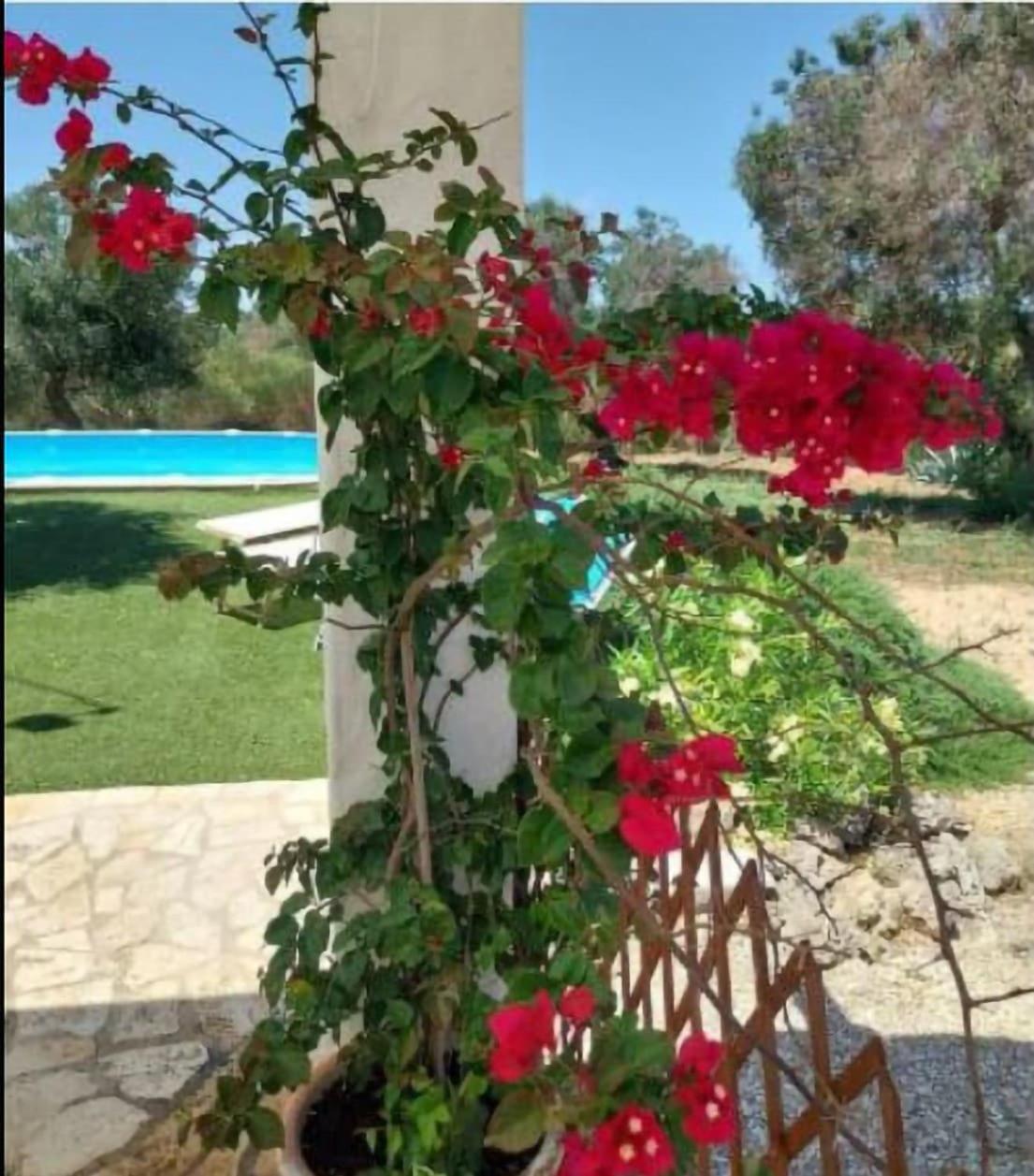 Del Saraceno
